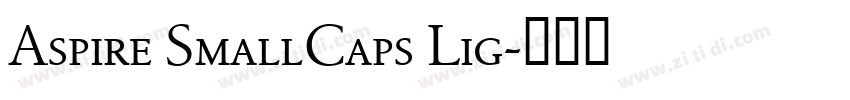 Aspire SmallCaps Lig字体转换 Aspire SmallCaps Lig字体转换